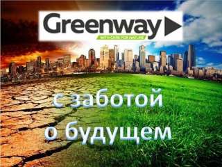 Менеджер развития сети