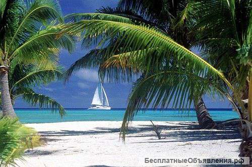 Изучайте Английский язык по Скайпу