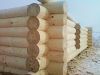 Срубы домов высокого качества
