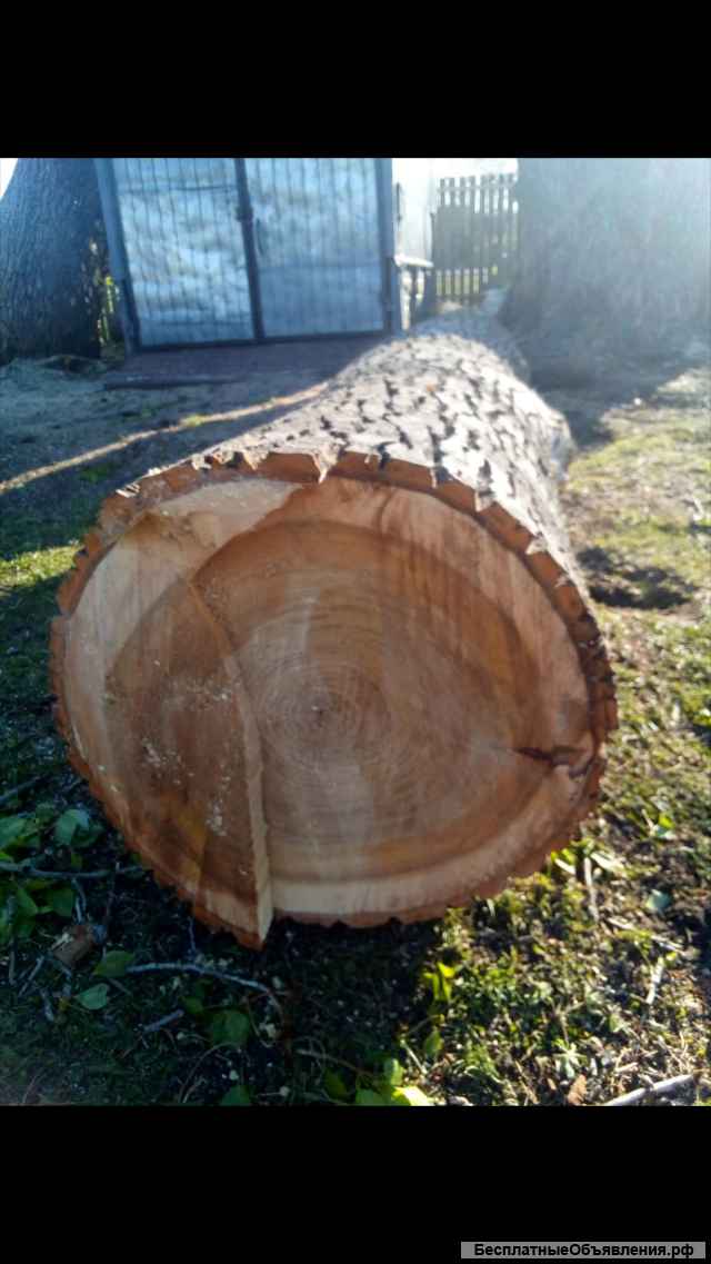 Удаление деревьев, веток. Кронирование