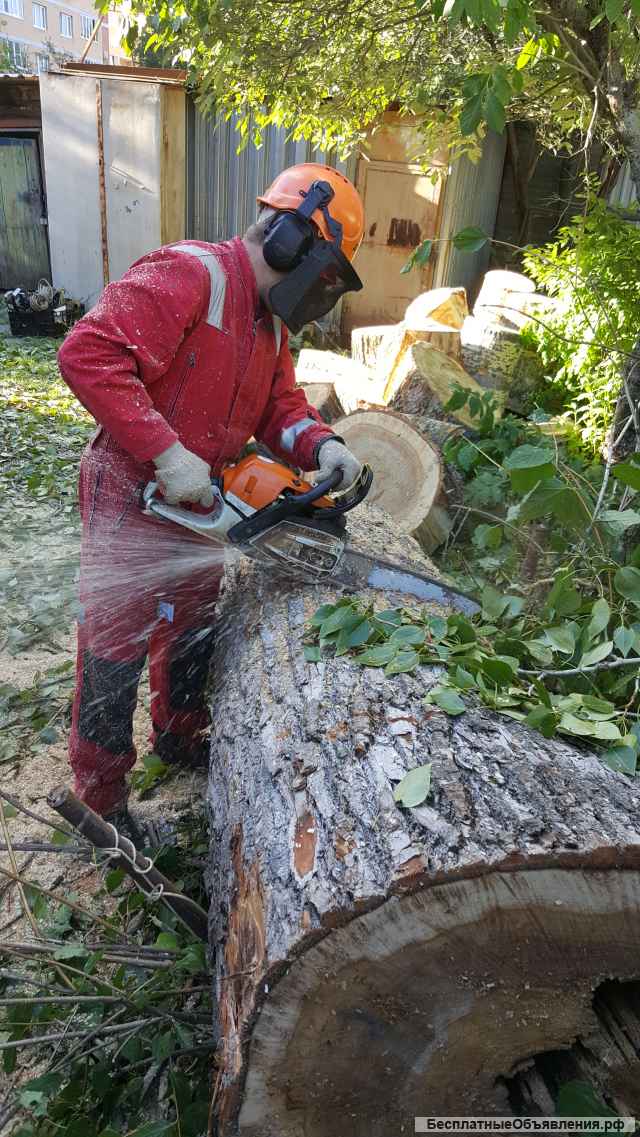 Удаление деревьев, веток. Кронирование