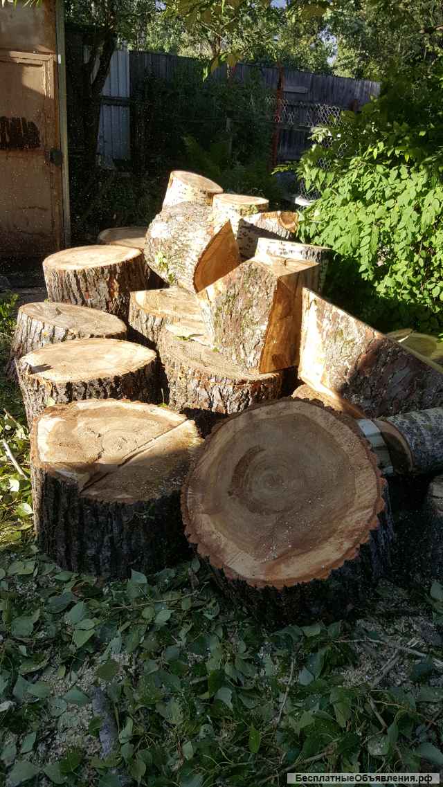 Удаление деревьев, веток. Кронирование