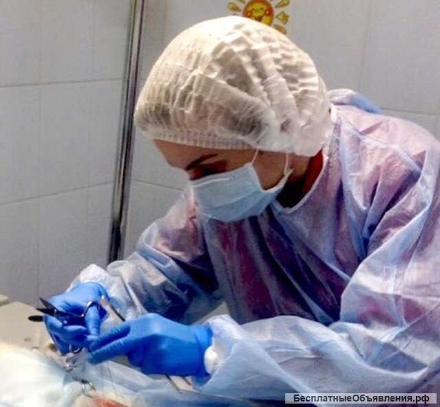 Ветеринарный врач, выезд на дом, круглосуточно