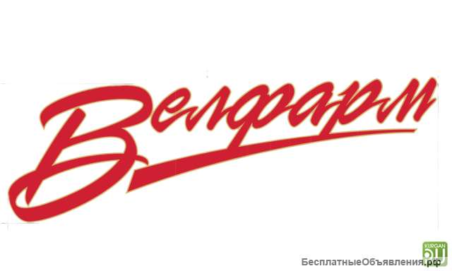 Водители и Экспедиторы на авто компании (ежедневная оплата)