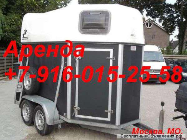 Прицеп коневозка в аренду