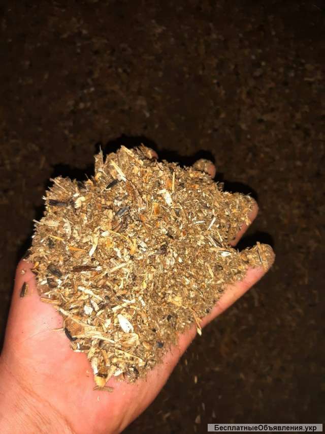 Мертвые отходы подсолнечника
