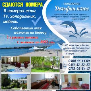 Сдаются номера в пансионате «Дельфин плюс» 0551 52 22 23