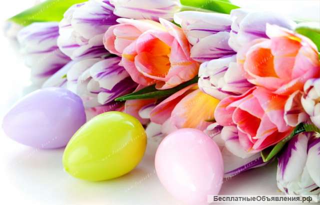 Помощь-Целительство, консультация