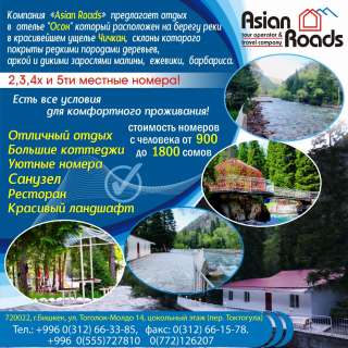 Отличный отдых в Отеле «Осон»