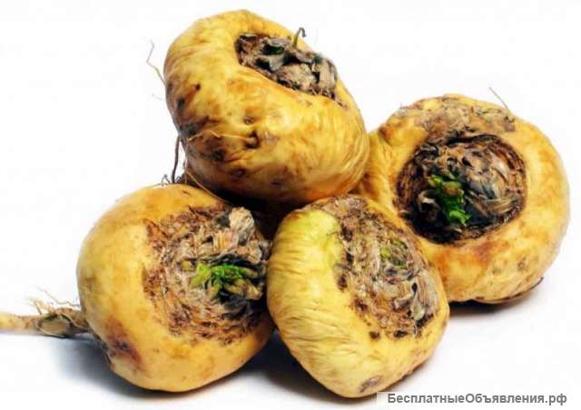 Маки перуанской экстракт