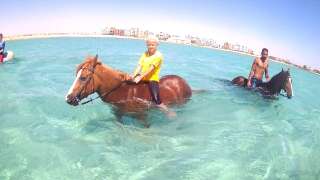 Прогулки и купания в море на лошадях в Хургаде, Египет