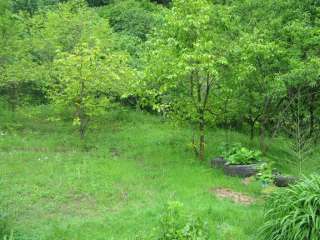 Дом 90м2 на участке 15 сот в Сочи, с.Галицыно