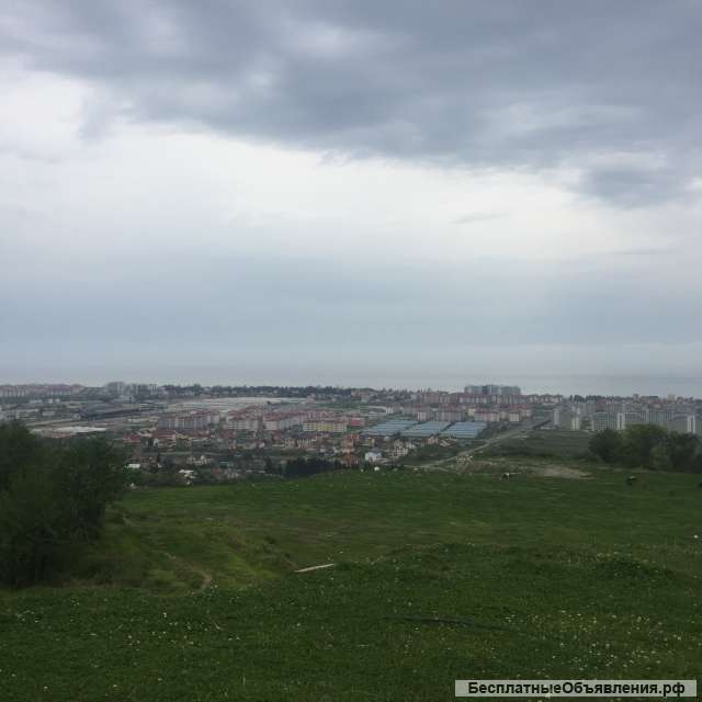 10 га в собственности