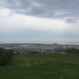 10 га в собственности