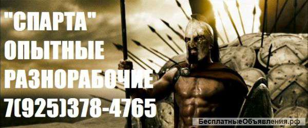 Услуги разнорабочих недорого