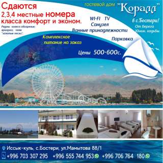 Сдаются 2,3,4 местные номера класса комфорт и эконом