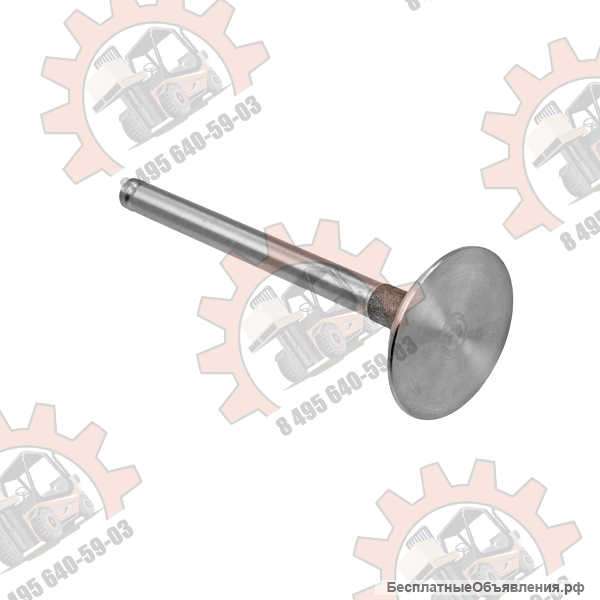 Клапан впускной на двигатель Балканкар Д3900 (31431641)