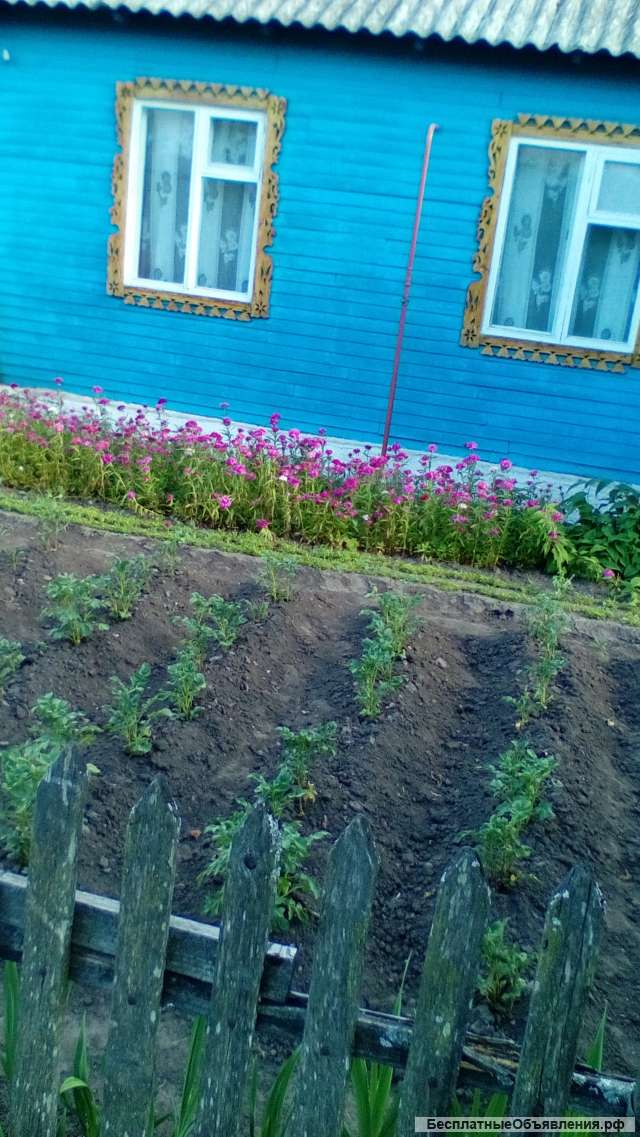 Часть щитового дома в Орловской области