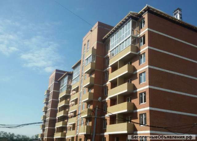 Студию душистая 30 к1