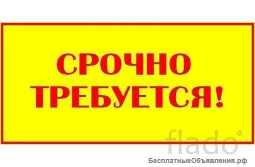 Требуется водитель и консультант