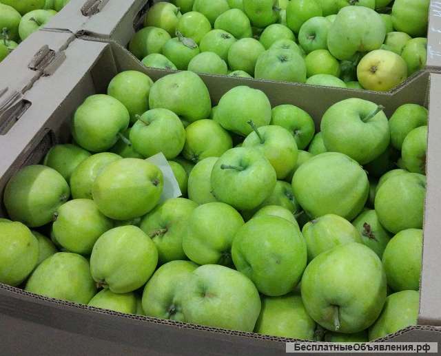 Яблоки оптом урожая 2019 года