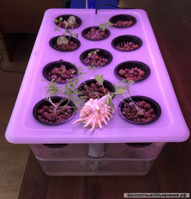 Гидропонная установка