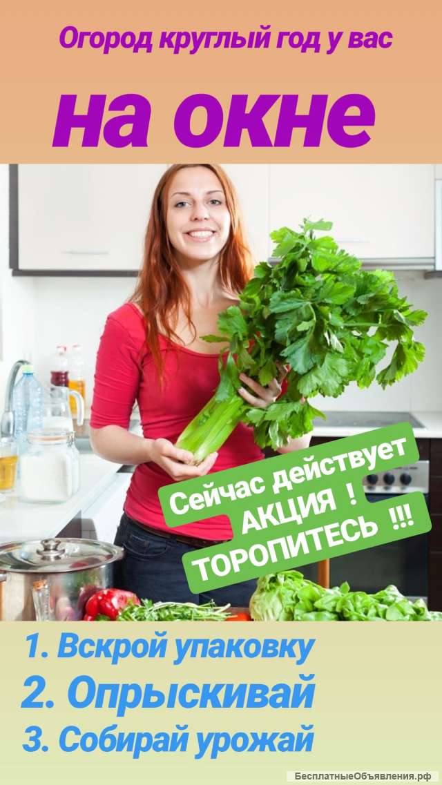 Огород круглый год на вашем подоконнике