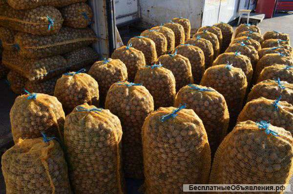 Грецкий орех от производителя