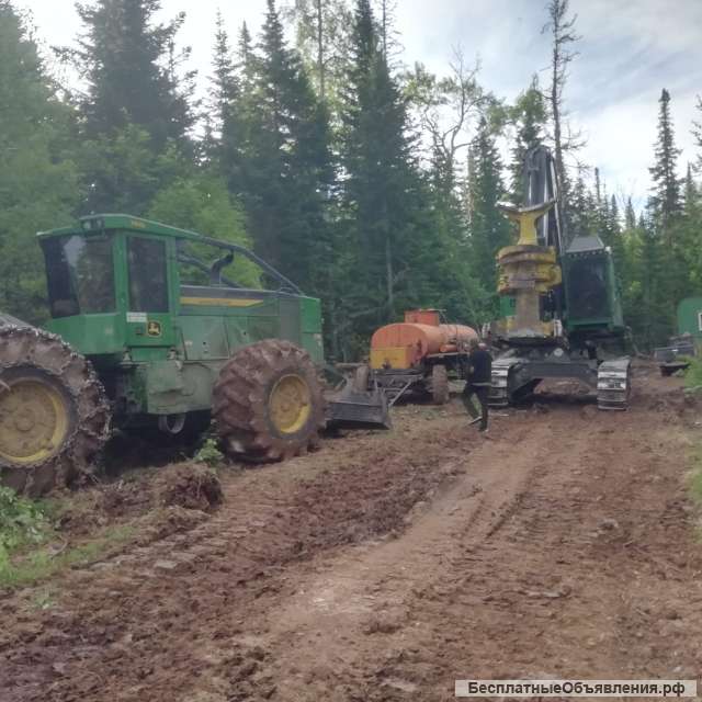 Аренда леса в Красноярском крае до 2066 года