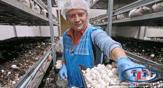 Вахта с питанием и проживанием