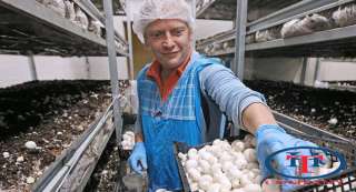 Вахта с питанием и проживанием