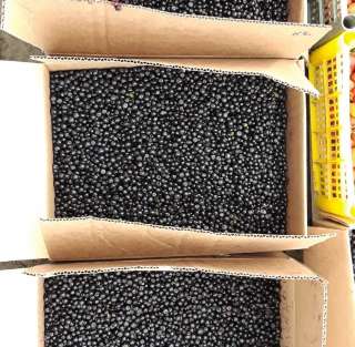 Черника свежая