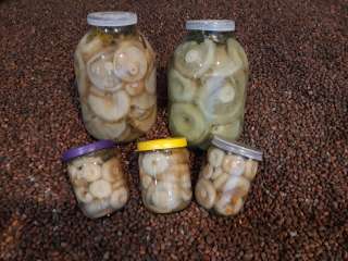 Грузди свежие