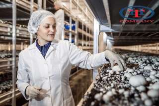 Работа вахтой (вахта 1515)