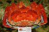 Мясо краба королевского от 880 рублей кг.Собственная переработка,прямые цены.Документы.
