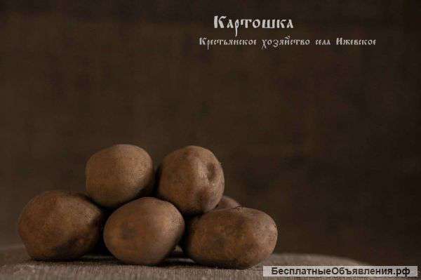 Картофель без химии