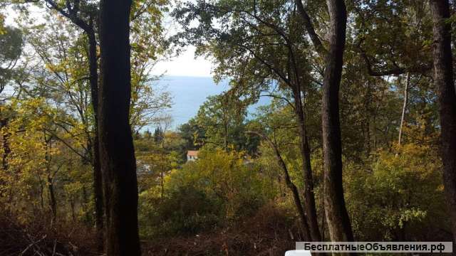 Земельный участок с видом на море