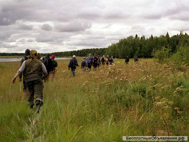 Геологи