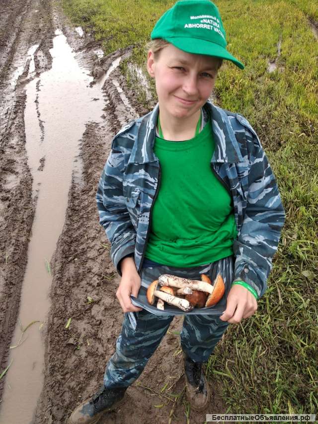 Оздоровительный массаж