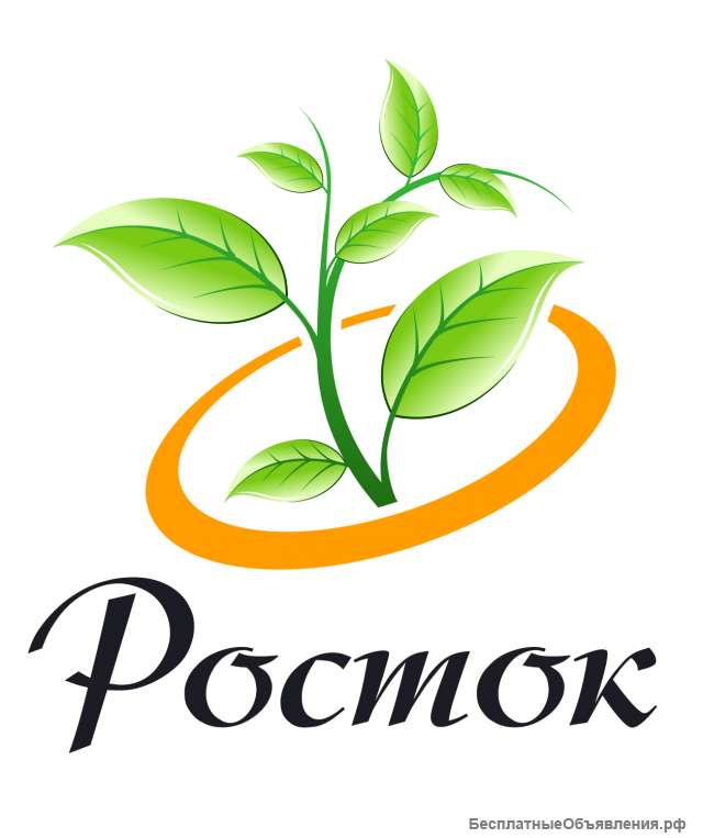 Педагог- психолог