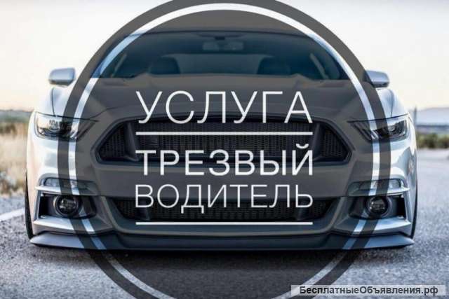 Трезвый водитель, водитель выходного дня