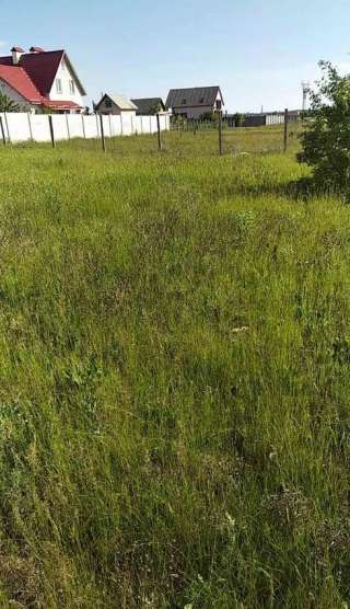 Участок за Таврией и Эпицентром