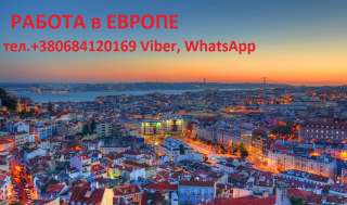 Работа в Чехии по готовым документам- чешским или польским визам