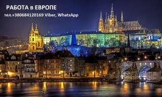 Чехия, работа на пилораме по рабочим визам