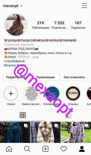 Шубу, Меха, Парка, Норка, Чернобурка, Пальто, Песец