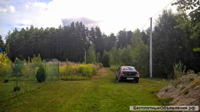 Уютный земельный участок 25 соток ИЖС на лесной опушке под Псковом