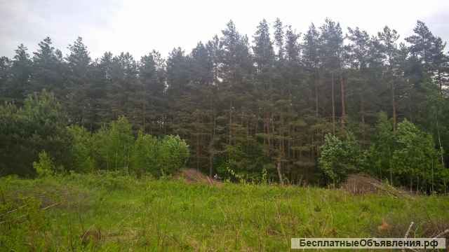 Уютный земельный участок 25 соток ИЖС на лесной опушке под Псковом