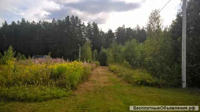 Уютный земельный участок 25 соток ИЖС на лесной опушке под Псковом