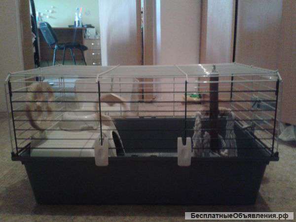 Клетка для крупных грызунов