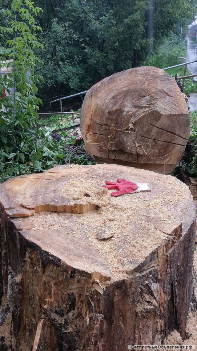 Удаление деревьев на Сходне, Химках, Подрезково, Зеленоград, Солнечногорский р-н и др